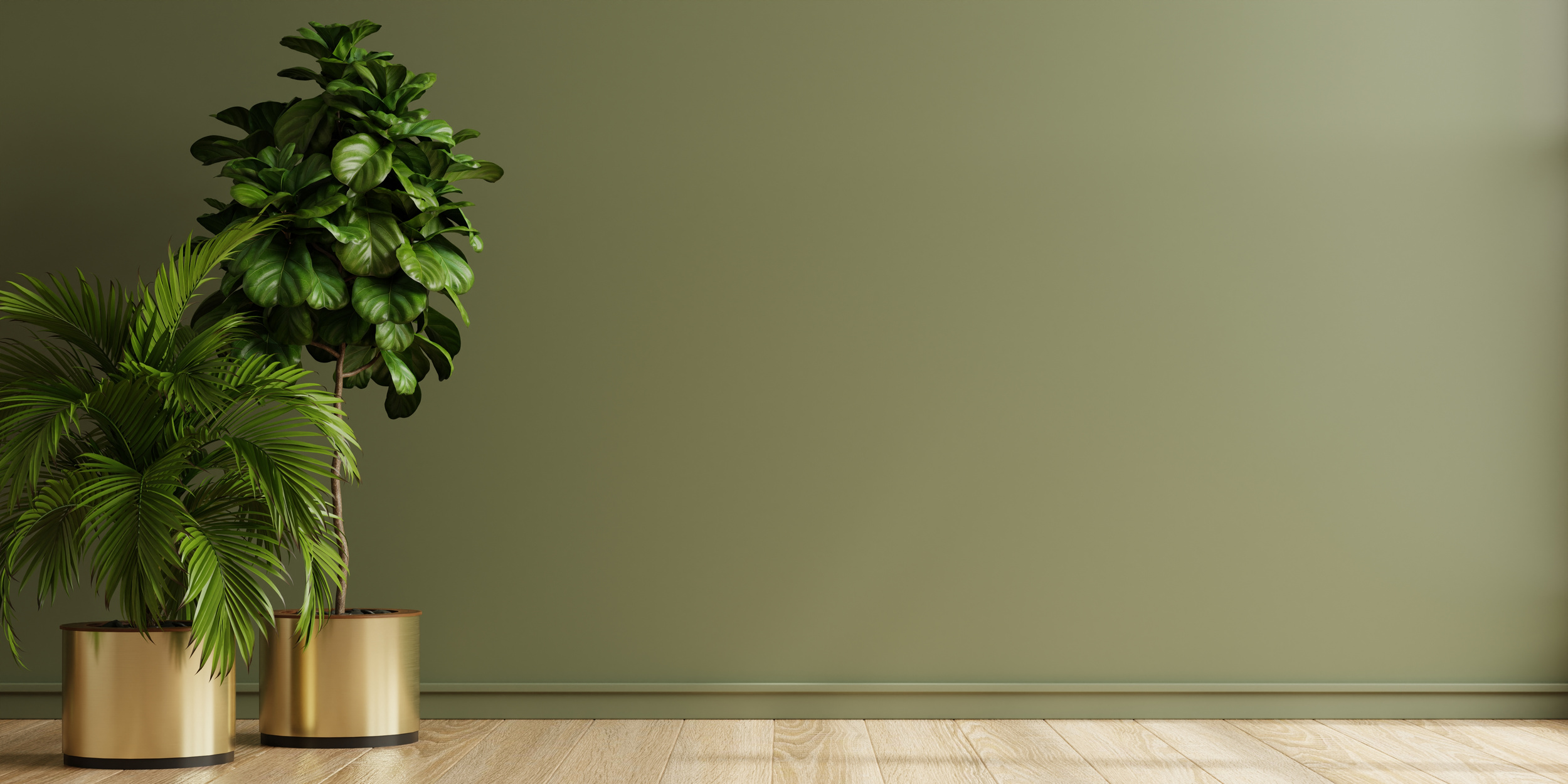 Green wall empty room with plants on a floor.